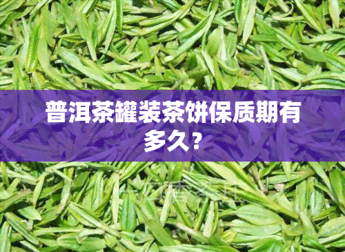 普洱茶罐装茶饼保质期有多久？