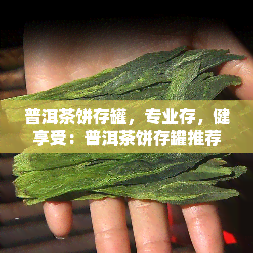 普洱茶饼存罐，专业存，健享受：普洱茶饼存罐推荐