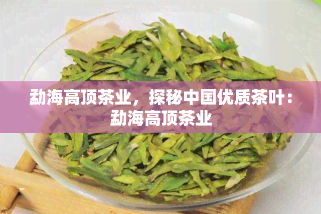 勐海高顶茶业，探秘中国优质茶叶：勐海高顶茶业