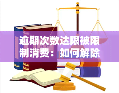 逾期次数达限被限制消费：如何解除限制？