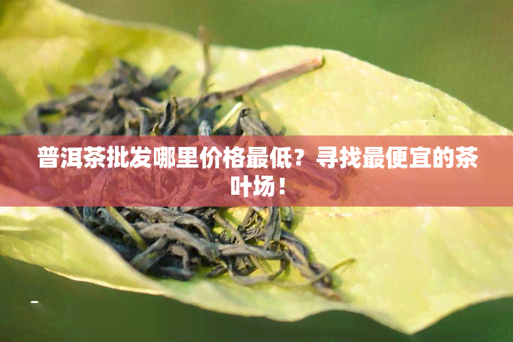 普洱茶批发哪里价格更低？寻找更便宜的茶叶场！