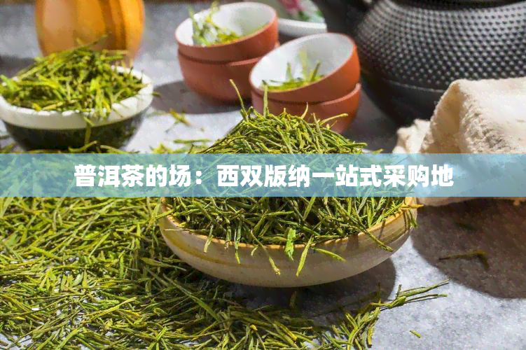 普洱茶的场：西双版纳一站式采购地