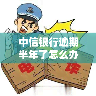 中信银行逾期半年了怎么办，中信银行贷款逾期半年，应该采取什么措？