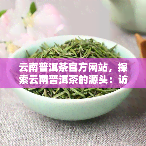 云南普洱茶官方网站，探索云南普洱茶的源头：访问云南普洱茶官方网站