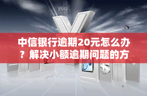 中信银行逾期20元怎么办？解决小额逾期问题的方法与步骤