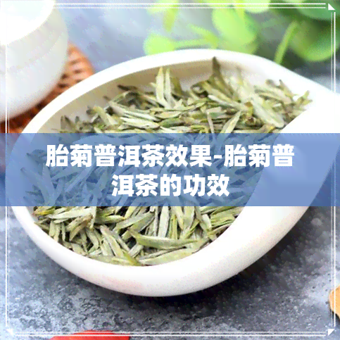 胎菊普洱茶效果-胎菊普洱茶的功效