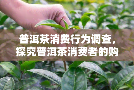 普洱茶消费行为调查，探究普洱茶消费者的购买惯与喜好