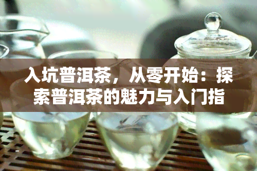 入坑普洱茶，从零开始：探索普洱茶的魅力与入门指南