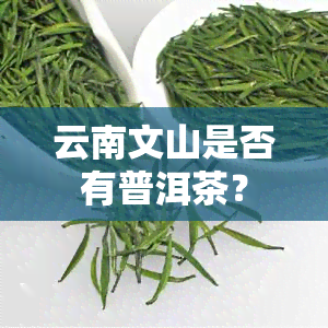 云南文山是否有普洱茶？