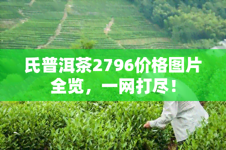 氏普洱茶2796价格图片全览，一网打尽！