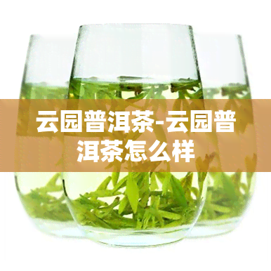 云园普洱茶-云园普洱茶怎么样