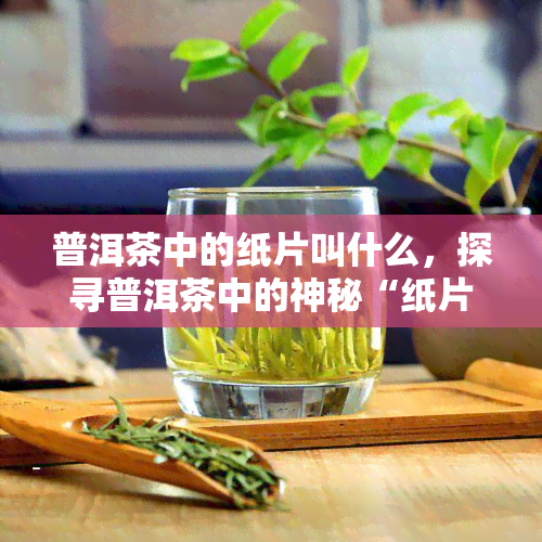 普洱茶中的纸片叫什么，探寻普洱茶中的神秘“纸片”：它的名字是什么？