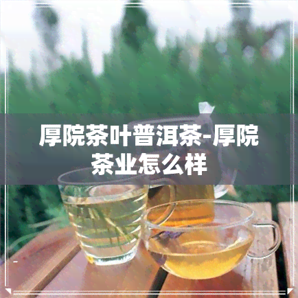 厚院茶叶普洱茶-厚院茶业怎么样