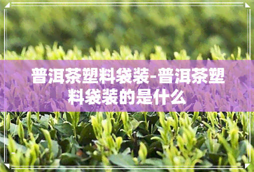 普洱茶塑料袋装-普洱茶塑料袋装的是什么