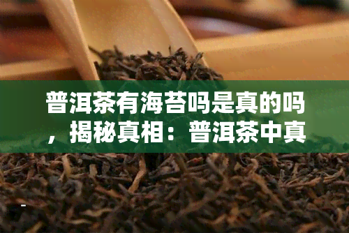 普洱茶有海苔吗是真的吗，揭秘真相：普洱茶中真的含有海苔成分吗？