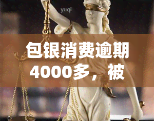 包银消费逾期4000多，被告怎么办？