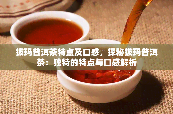 拔玛普洱茶特点及口感，探秘拔玛普洱茶：独特的特点与口感解析