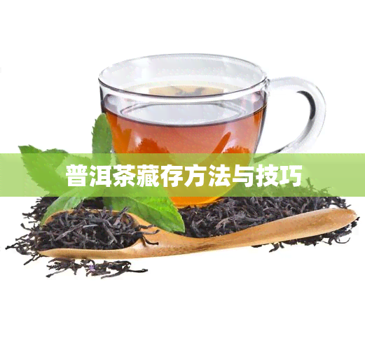 普洱茶藏存方法与技巧