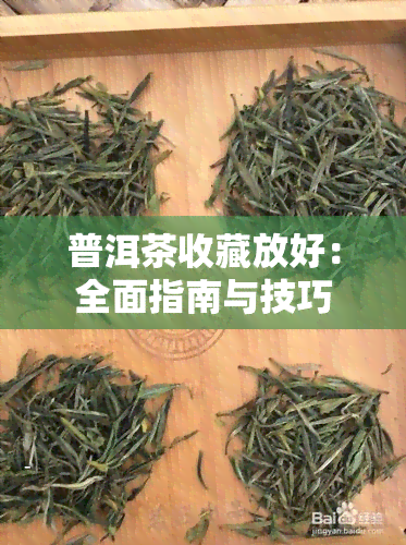 普洱茶收藏放好：全面指南与技巧