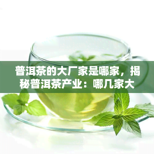 普洱茶的大厂家是哪家，揭秘普洱茶产业：哪几家大厂家占据主导地位？