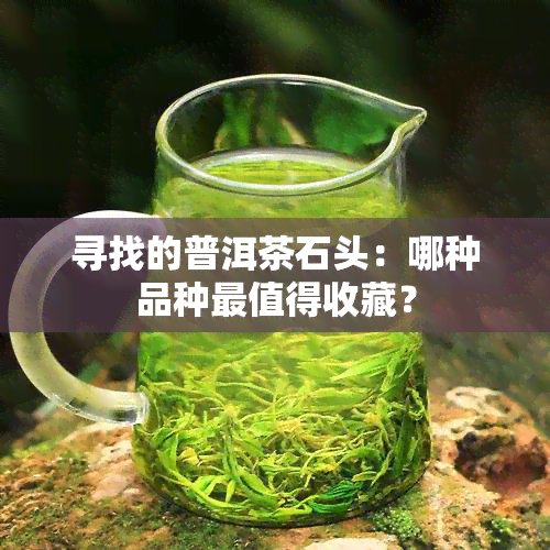 寻找的普洱茶石头：哪种品种最值得收藏？