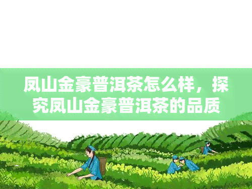 凤山金豪普洱茶怎么样，探究凤山金豪普洱茶的品质与口感，一文带你了解