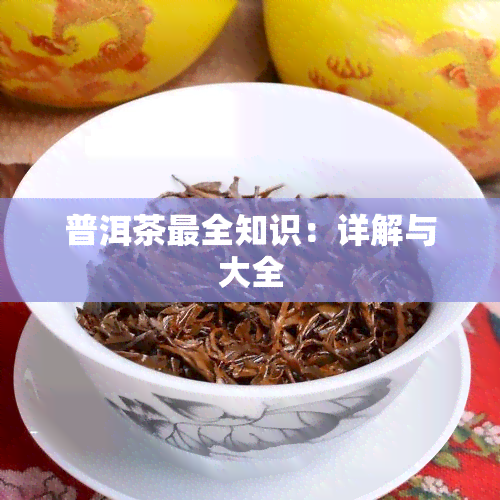 普洱茶最全知识：详解与大全