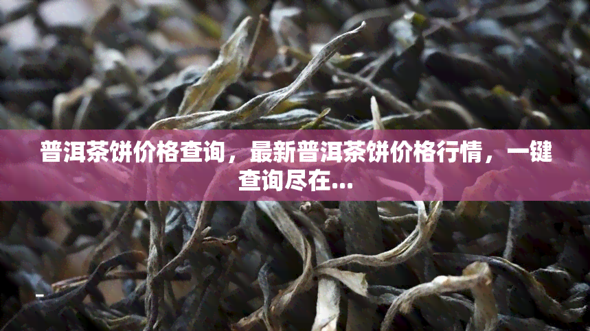 普洱茶饼价格查询，最新普洱茶饼价格行情，一键查询尽在...