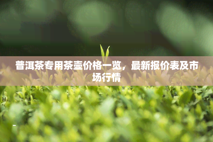 普洱茶专用茶壶价格一览，最新报价表及市场行情