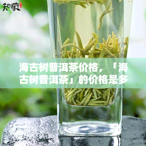 海古树普洱茶价格，「海古树普洱茶」的价格是多少？