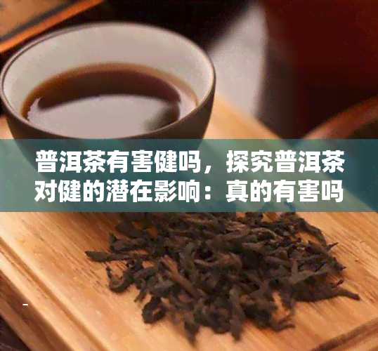 普洱茶有害健吗，探究普洱茶对健的潜在影响：真的有害吗？