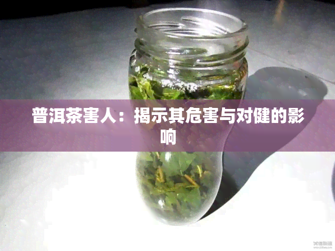 普洱茶害人：揭示其危害与对健的影响