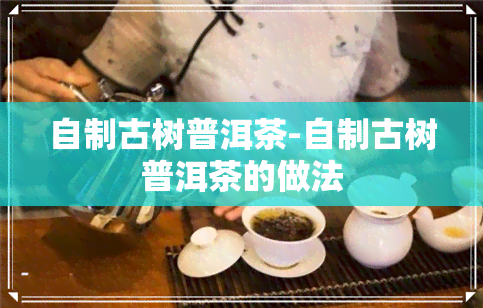 自制古树普洱茶-自制古树普洱茶的做法