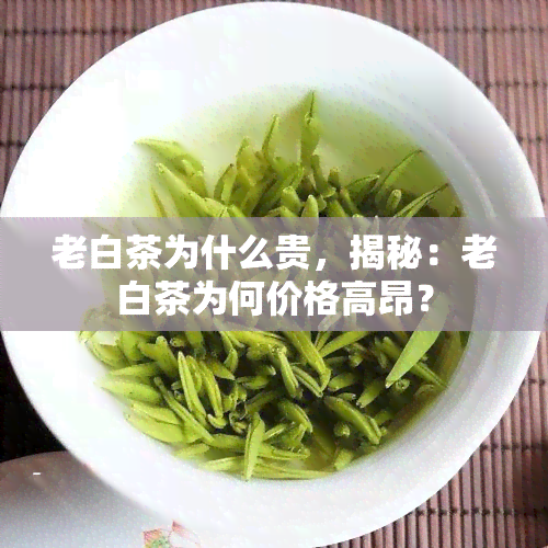 老白茶为什么贵，揭秘：老白茶为何价格高昂？