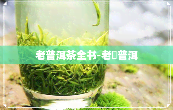 老普洱茶全书-老楴普洱