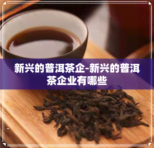 新兴的普洱茶企-新兴的普洱茶企业有哪些