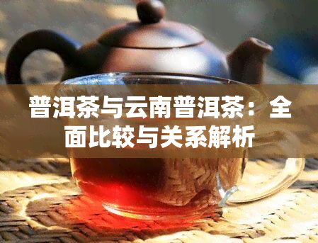 普洱茶与云南普洱茶：全面比较与关系解析