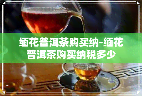 缅花普洱茶购买纳-缅花普洱茶购买纳税多少