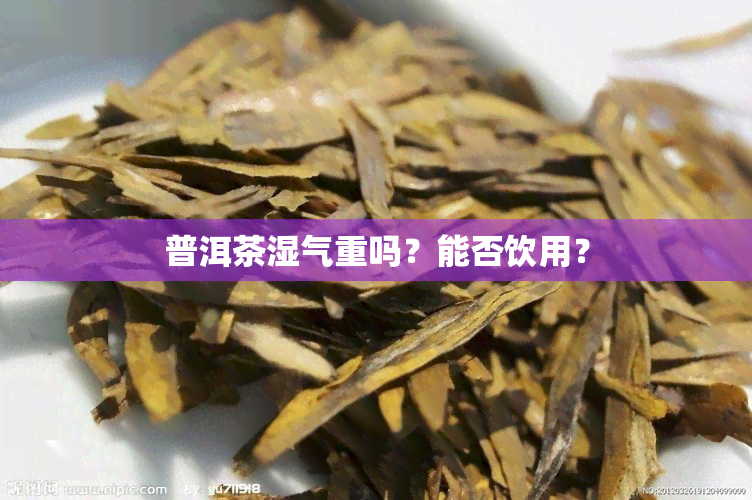 普洱茶湿气重吗？能否饮用？