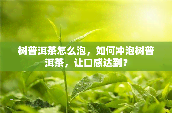 树普洱茶怎么泡，如何冲泡树普洱茶，让口感达到？