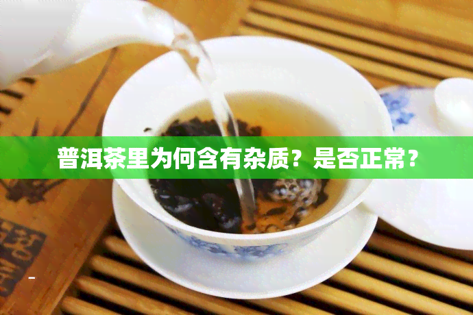 普洱茶里为何含有杂质？是否正常？