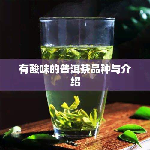 有酸味的普洱茶品种与介绍