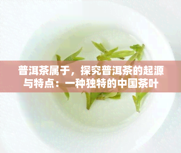 普洱茶属于，探究普洱茶的起源与特点：一种独特的中国茶叶