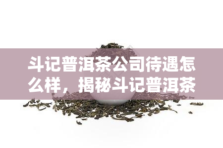 斗记普洱茶公司待遇怎么样，揭秘斗记普洱茶公司待遇，让您全面了解员工福利和薪资水平！