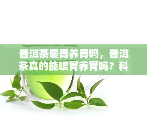 普洱茶暖胃养胃吗，普洱茶真的能暖胃养胃吗？科学解析其功效与作用