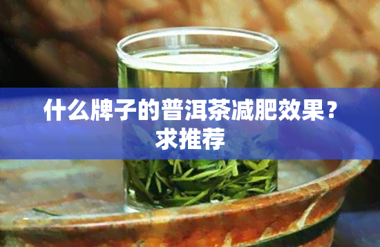 什么牌子的普洱茶减肥效果？求推荐