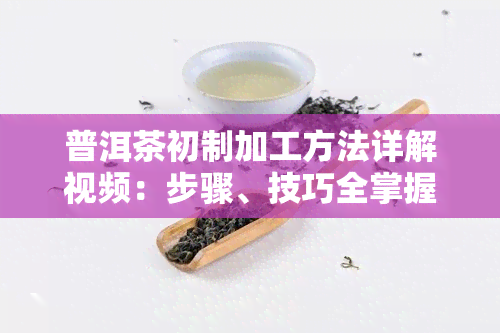 普洱茶初制加工方法详解视频：步骤、技巧全掌握