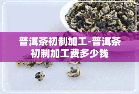 普洱茶初制加工-普洱茶初制加工费多少钱