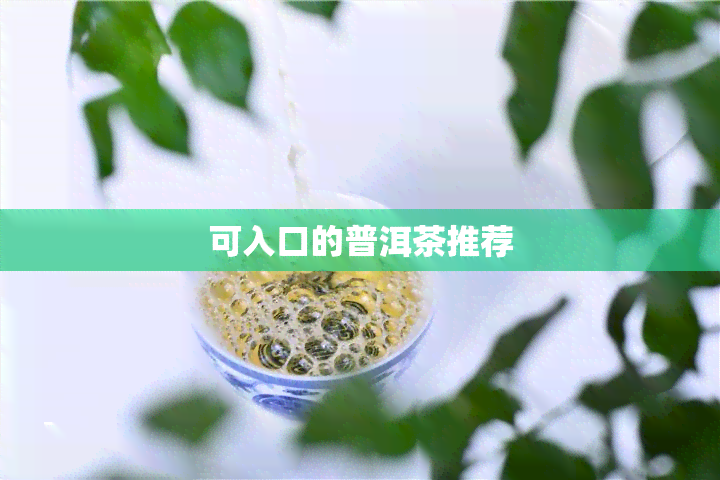 可入口的普洱茶推荐