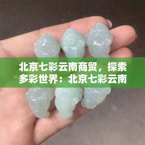 北京七彩云南商贸，探索多彩世界：北京七彩云南商贸简介